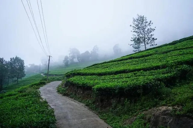 Hotel Lime Light Resort Munnar